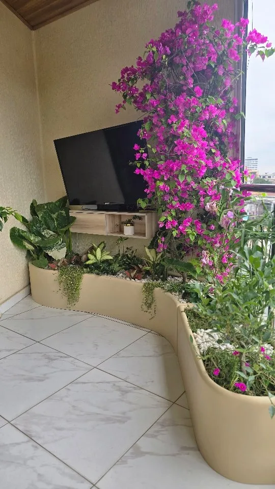 Balcon aménagé avec bougainvilliers
