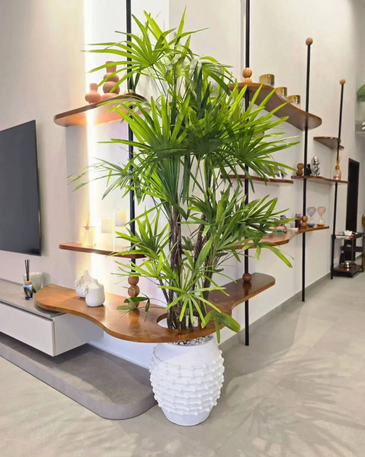 Salon tropical
