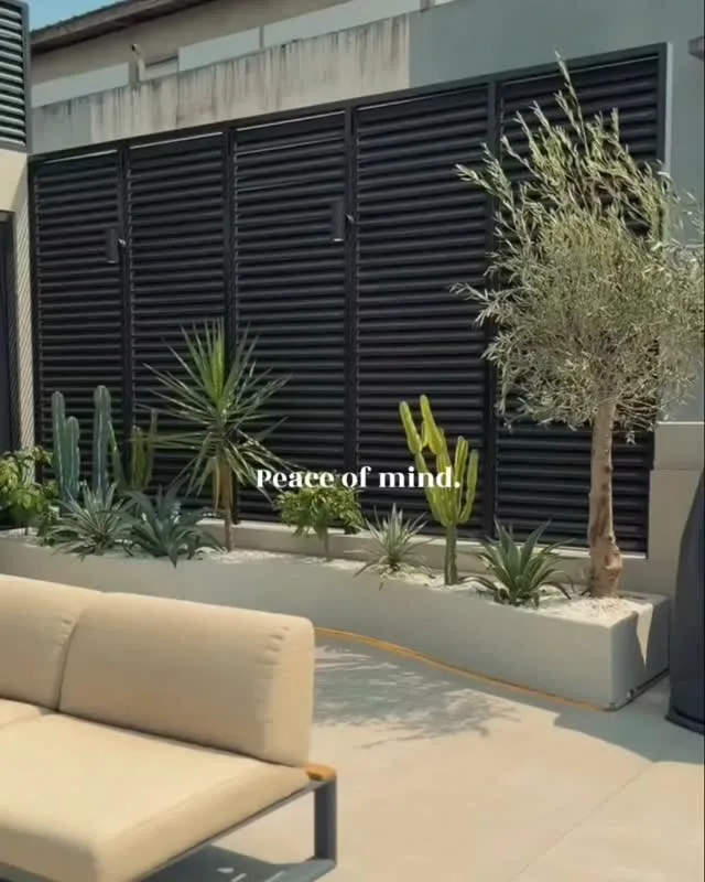 Terrasse avec olivier et graminées
