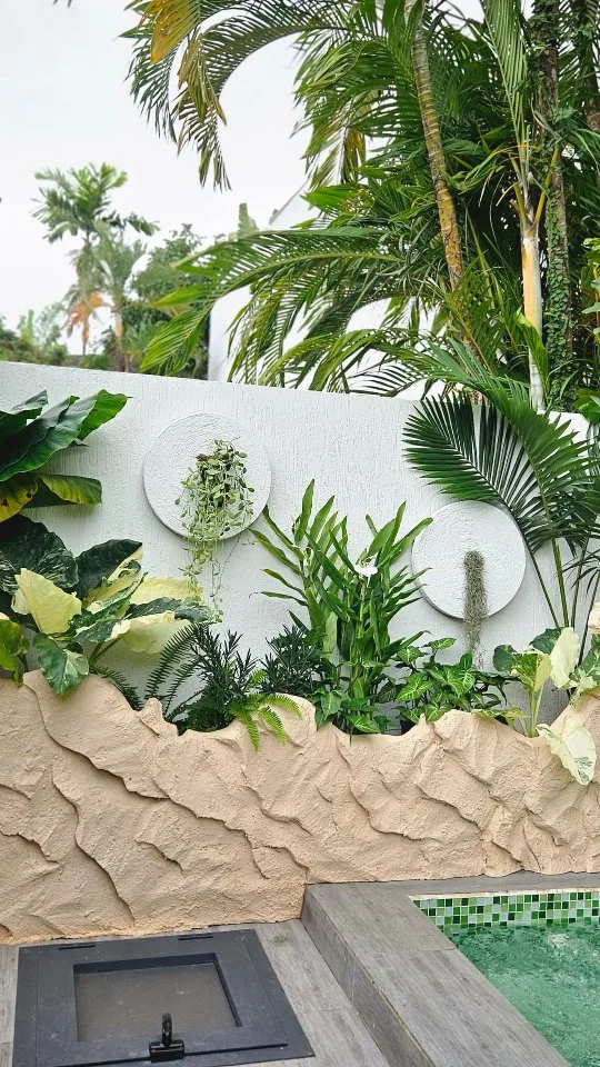Mur effet pierre et composition végétale tropicale à Abidjan