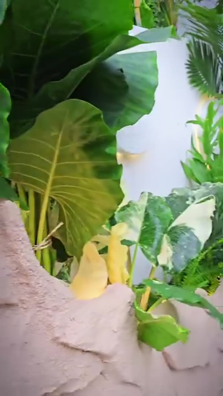 Quand la pierre rencontre la verdure