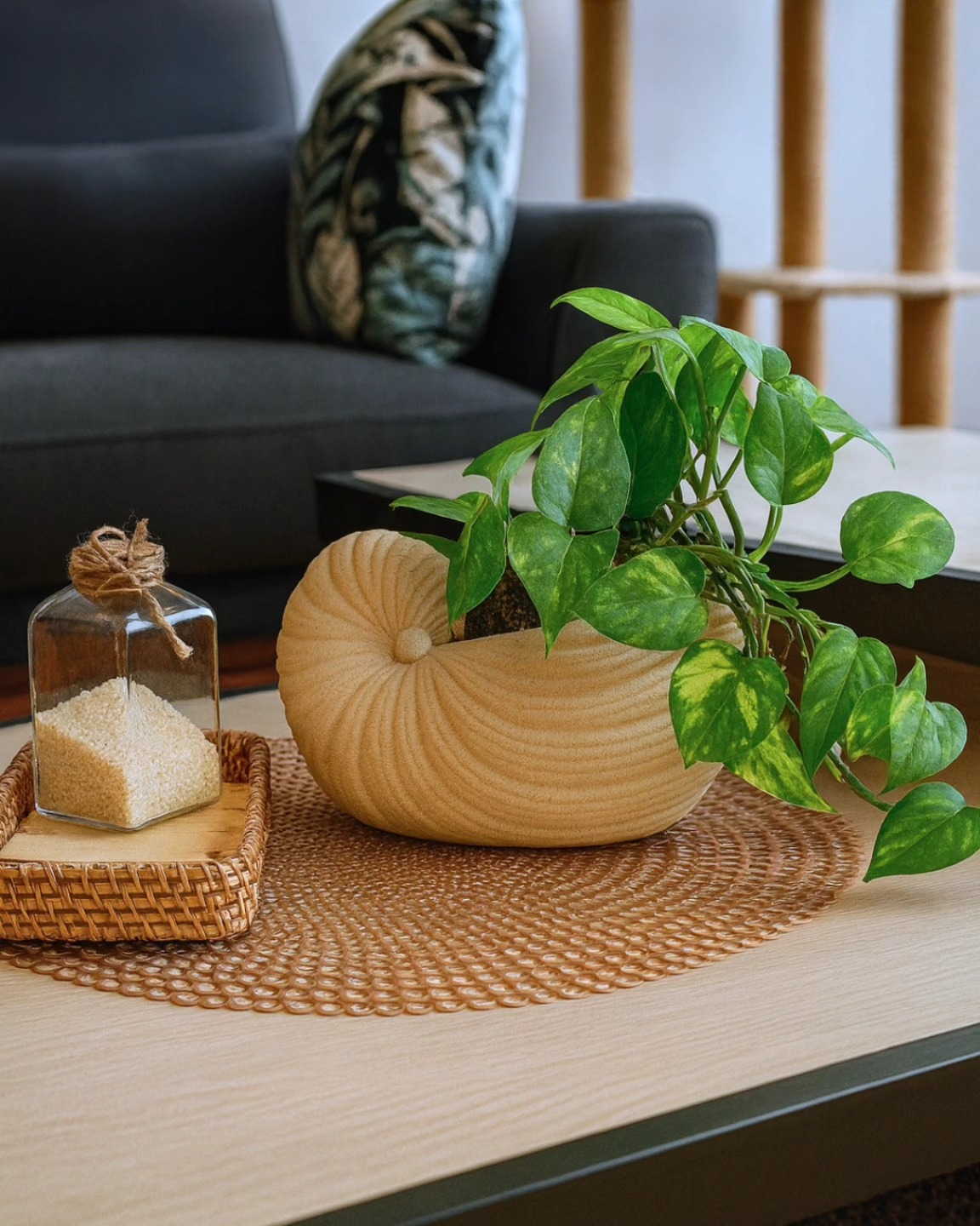 Pothos - Élégance Naturelle & Déco Unique 🌿🐚