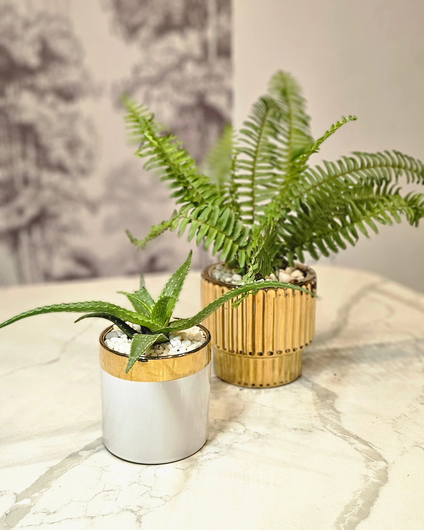 Une touche de nature précieuse illumine votre intérieur